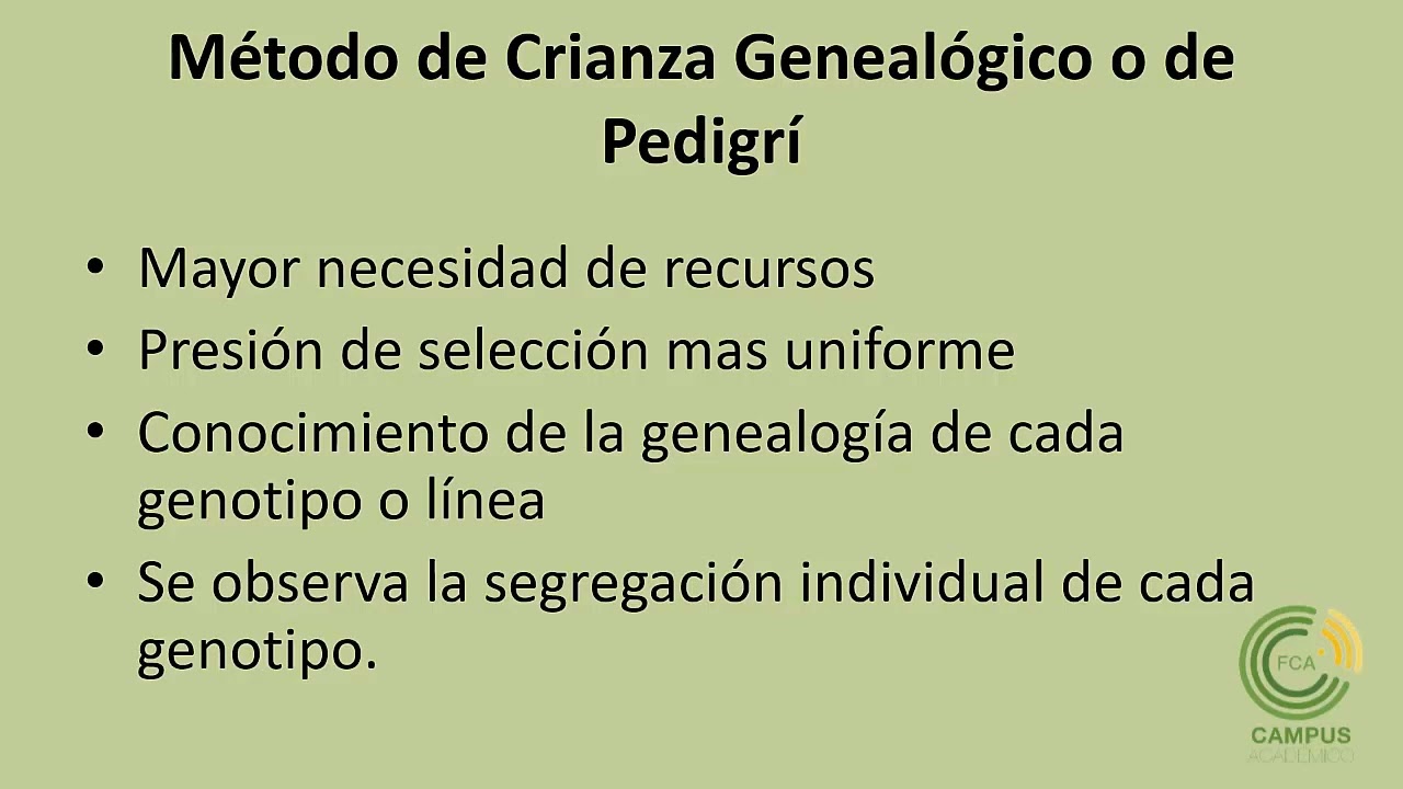 Selección masal e individual en plantas autógamas