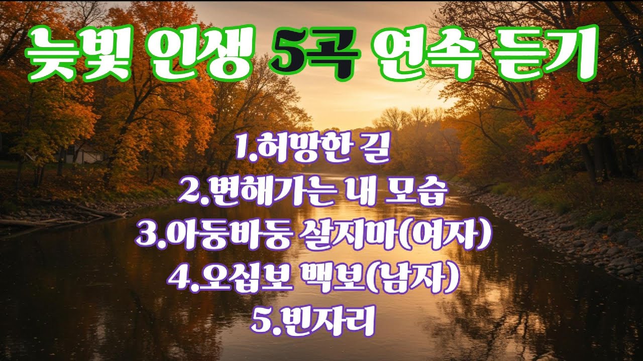 허망한 길 · 변해가는 내 모습 · 오십보 백보(남) · 아둥바둥 살지마(여) · 빈자리 | 늦빛 인생곡 5곡 연속 듣기 🎶