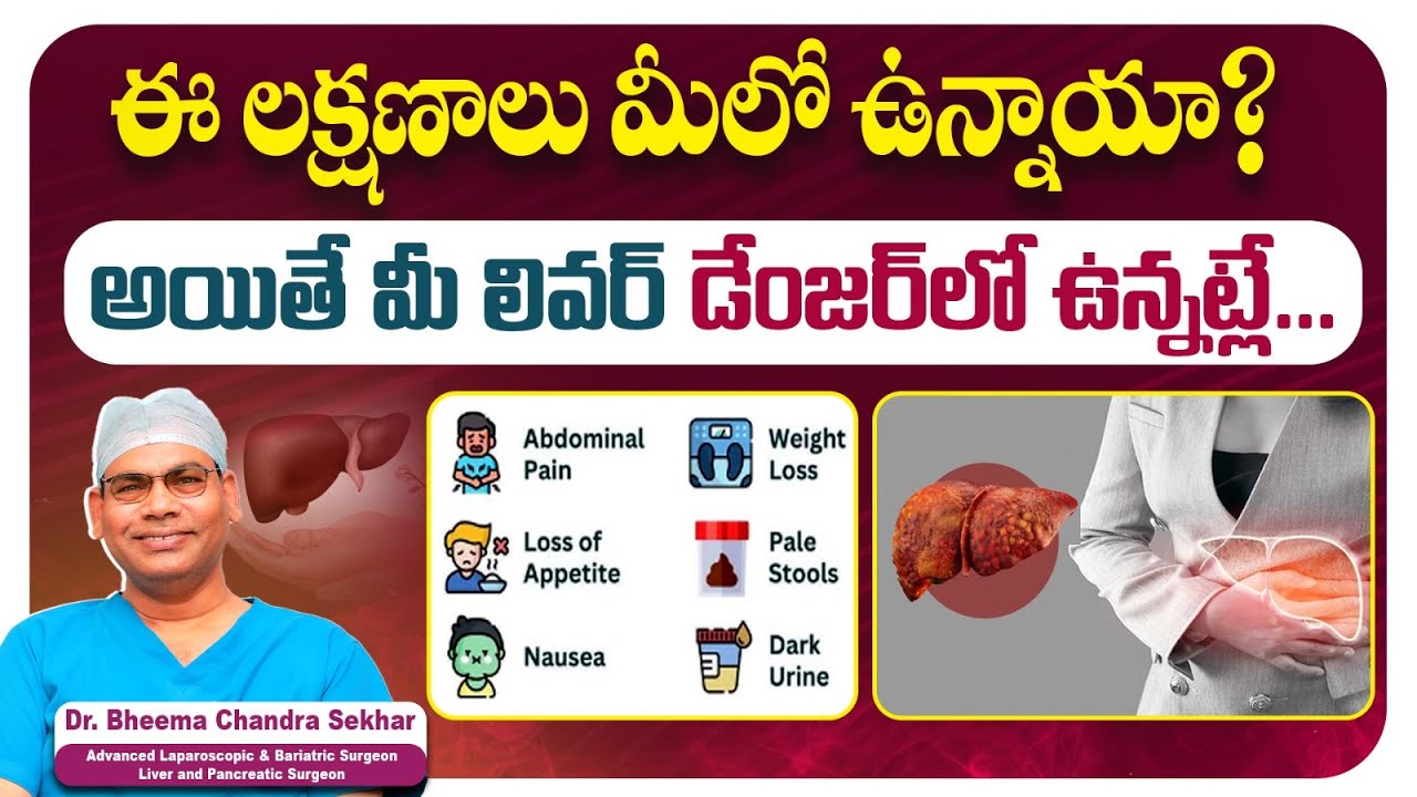 How to Diagnose Fatty Liver | Symptoms of Fatty Liver In Telugu | Fatty Liver  Causes | Vidhata