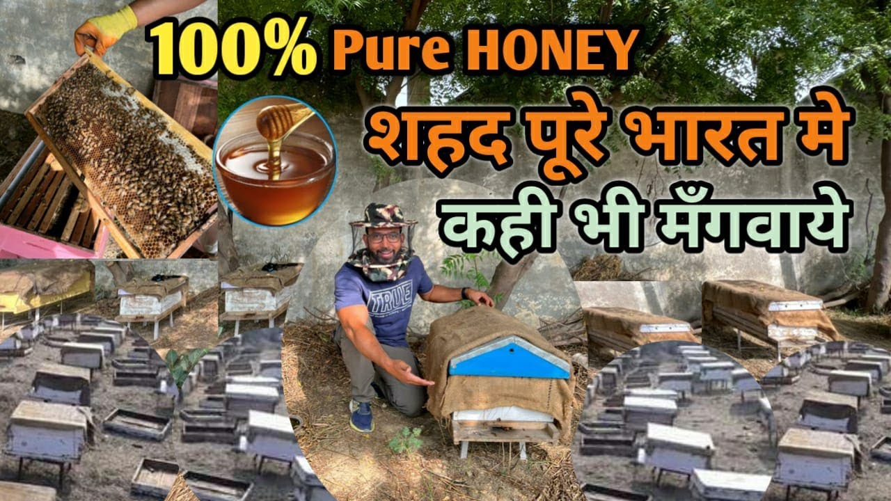 ये शहद सबसे अच्छा है 100% Pure HONEY(शुद्ध शहद) पूरे भारत मे कही भी मँगवाये | Pure Cream honey