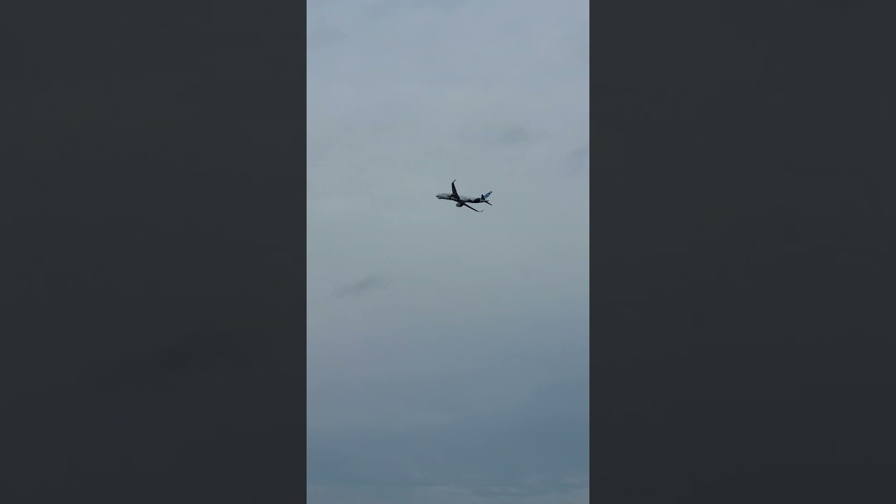 A321 NEO  XLR TEST IN TLS