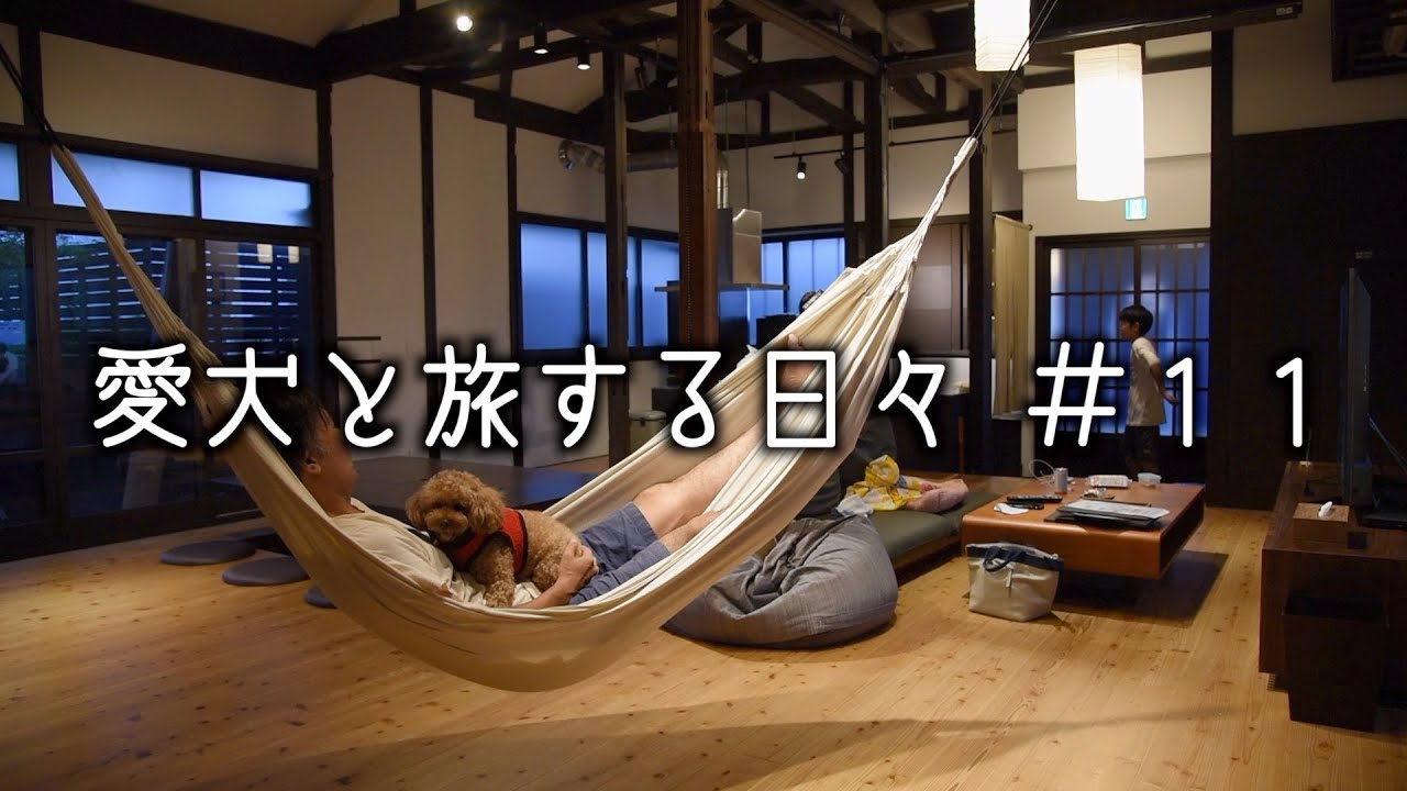 愛犬と静岡県の用宗にある古民家一棟貸しの宿へ泊まって来た。「前編」｜日本色・青藍・古民家・ペットと泊まれる宿・駿河湾・【愛犬と旅する日々】