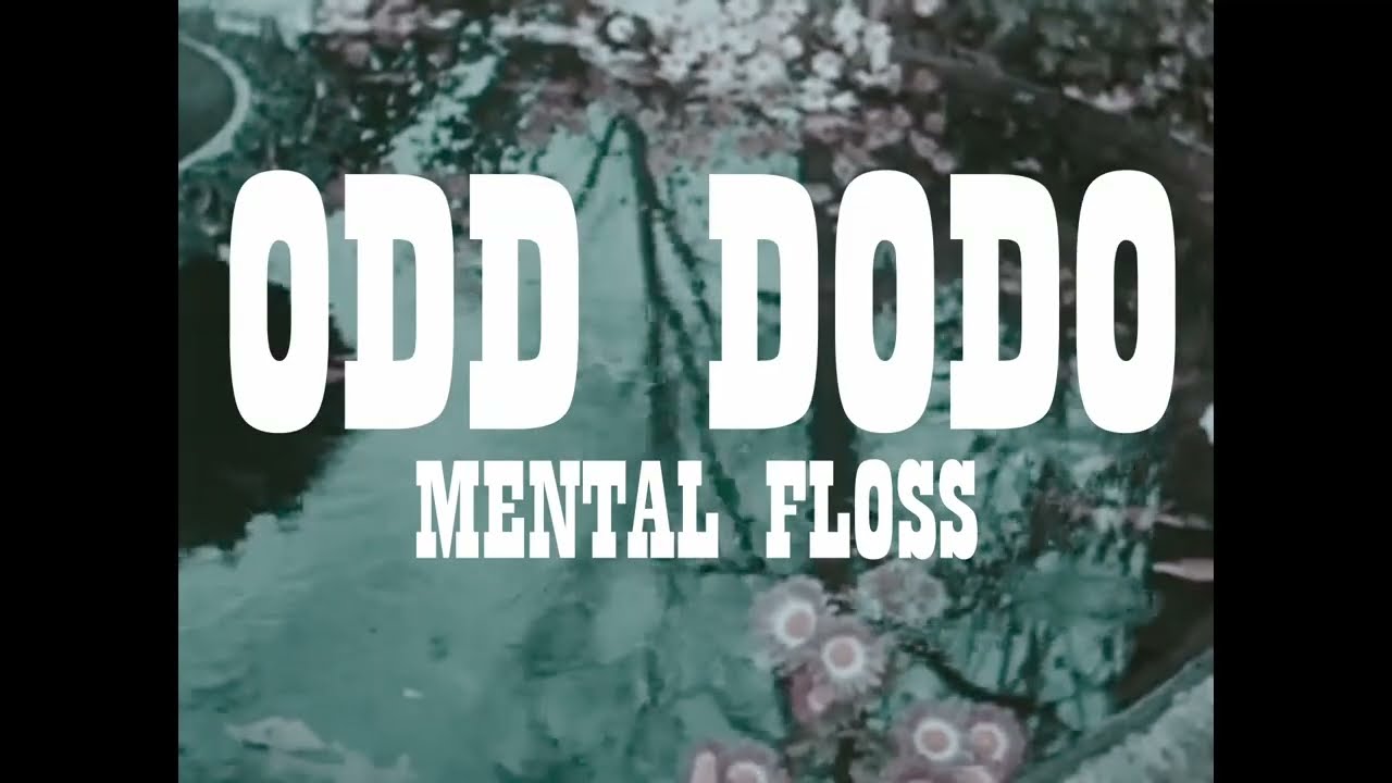 Odd Dodo - Mental Floss