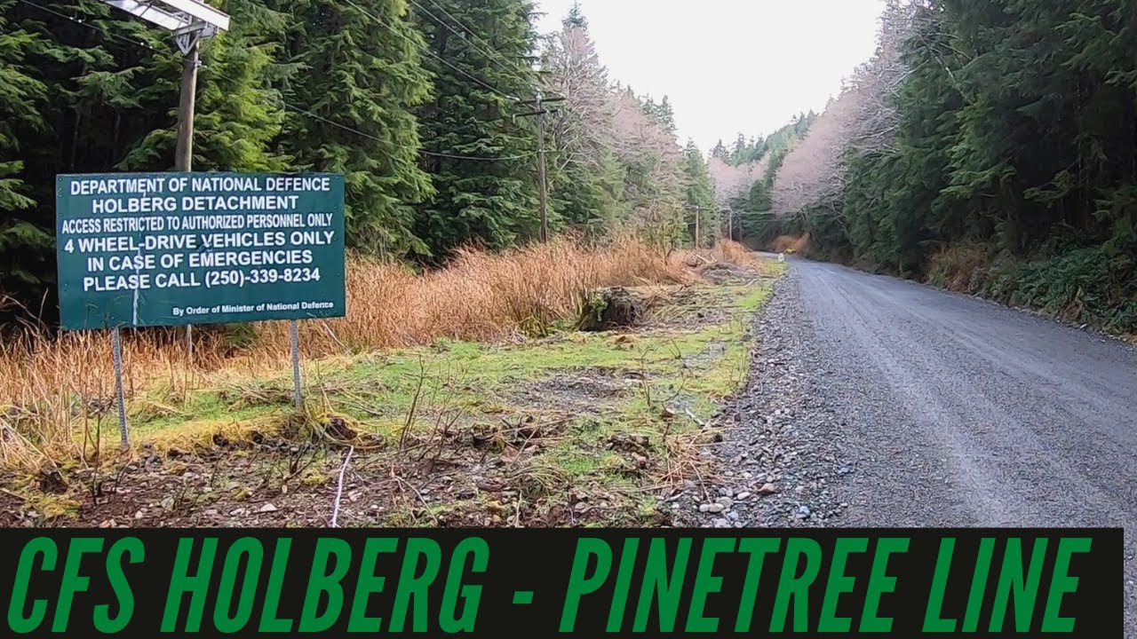 CFS Holberg | Реликвия линии сосны