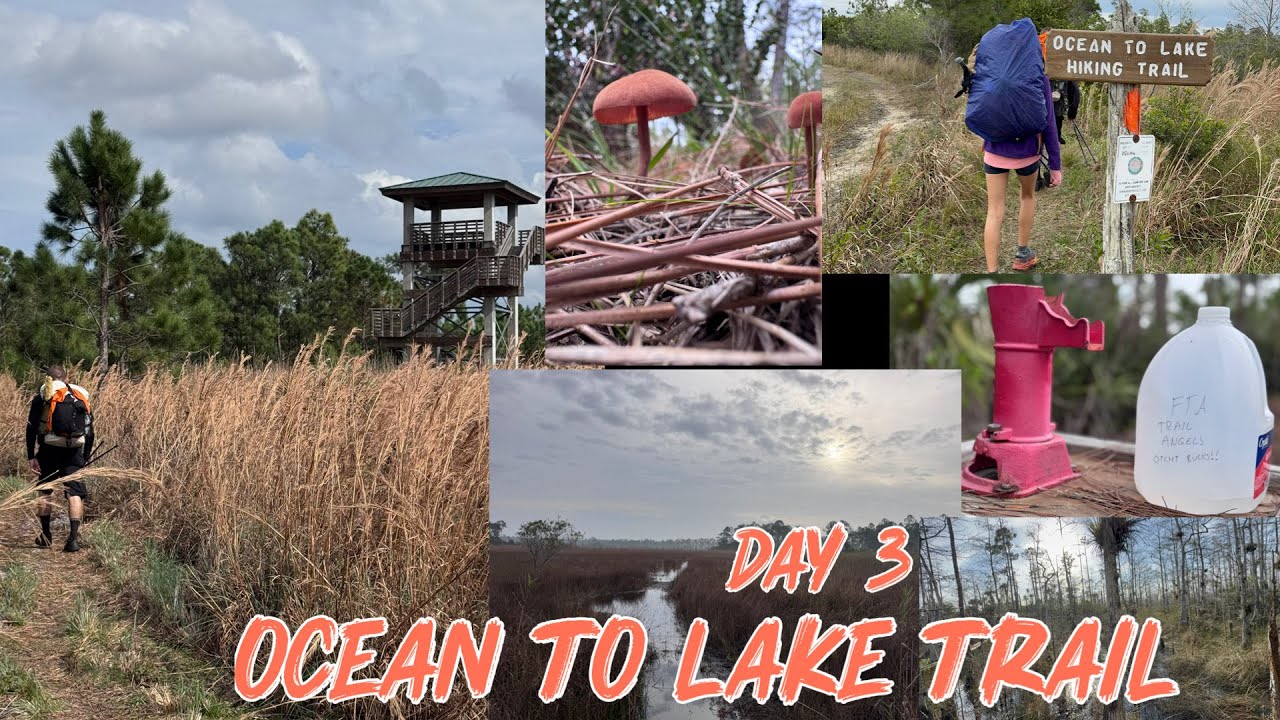 Ocean to Lake Trail Thru Hike - Day 3: Beautiful Florida Wilderness