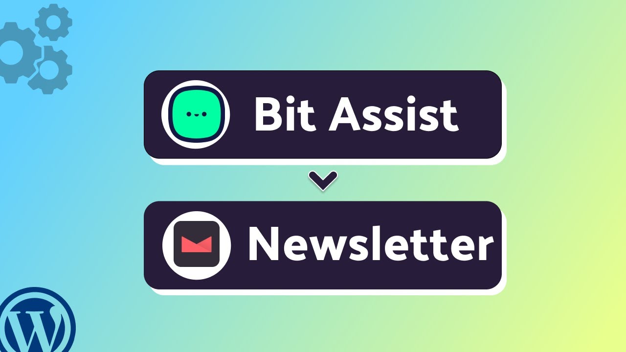 Integrating Bit Assist with Newsletter | Step-by-Step Tutorial | Bit Integrations