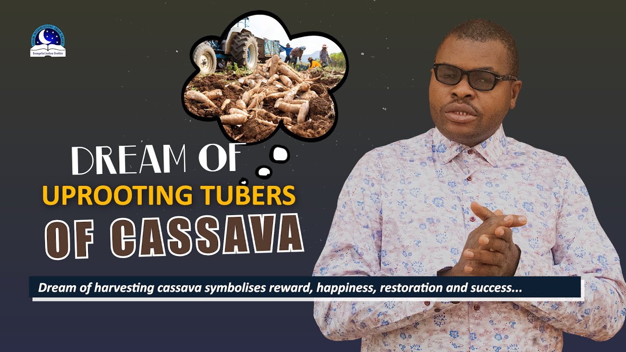 Dream of Uprooting Tubers of Cassava - Evangelist Joshua Meaning