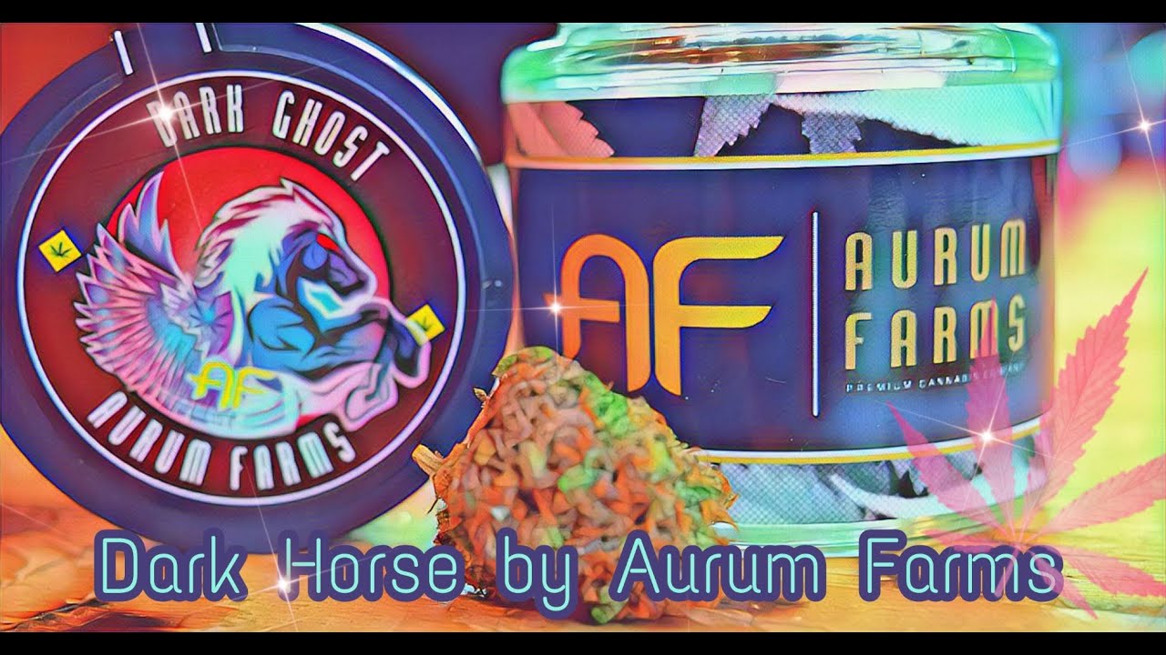 The 2BB First look at Dark Horse 