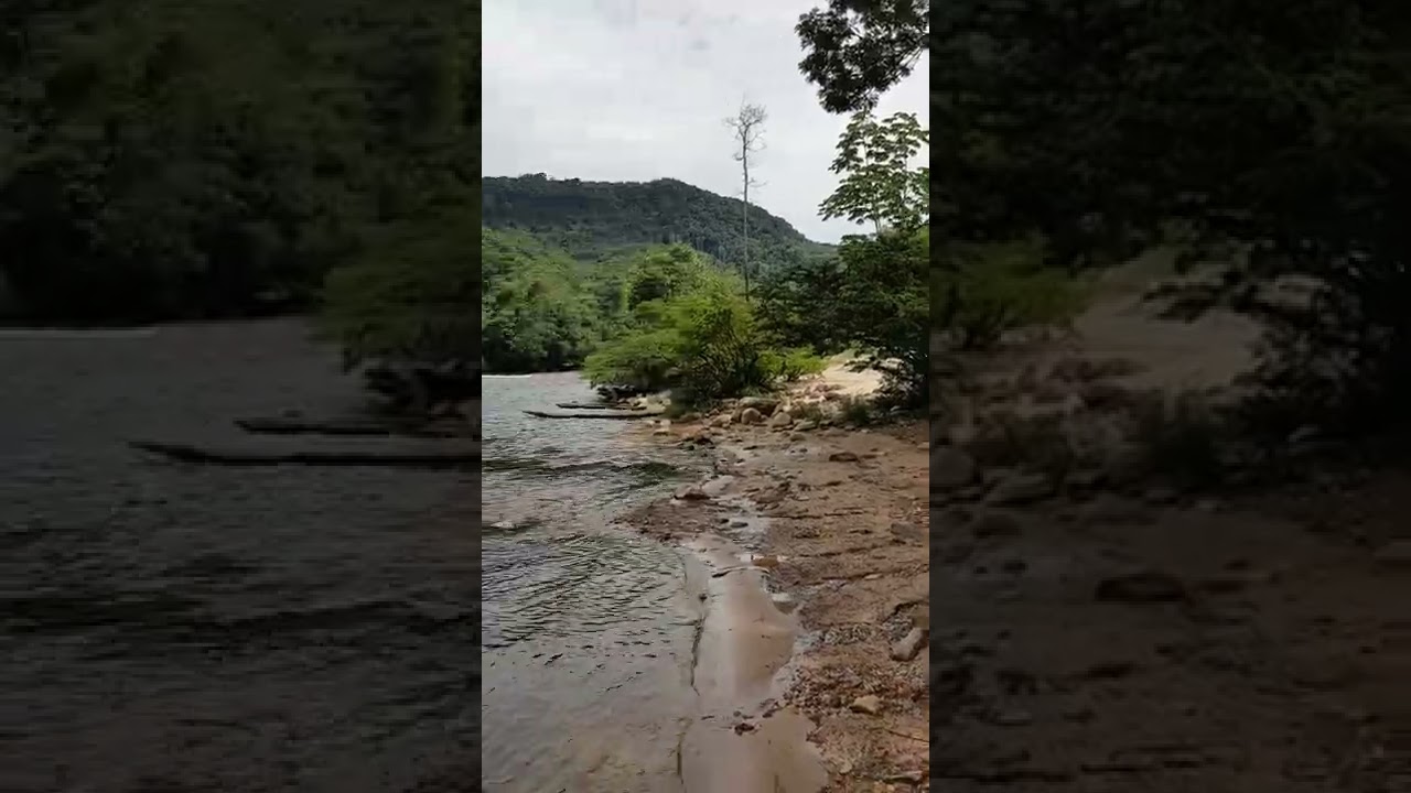 View of the Guyana / Brazil border at Sandhill, Region # 8