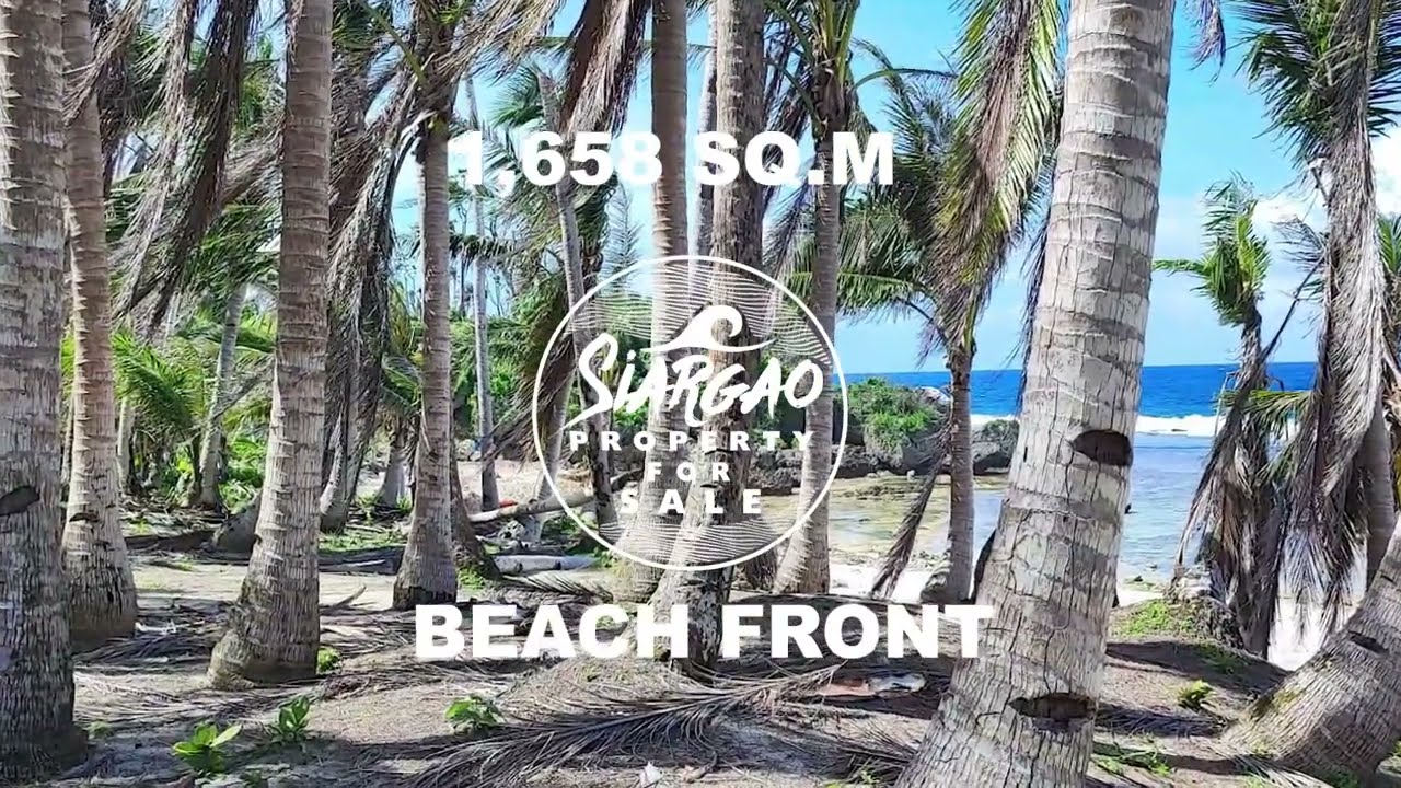 1,658 SQM Beach Front For Sale in Pilar Siargao Island