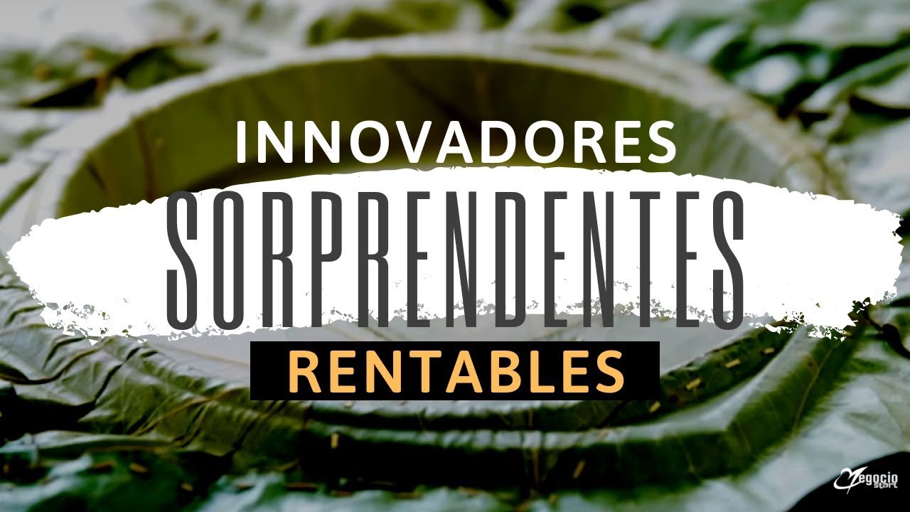 10 productos innovadores sorprendentes y rentables Fuera de lo Com&uacute;n