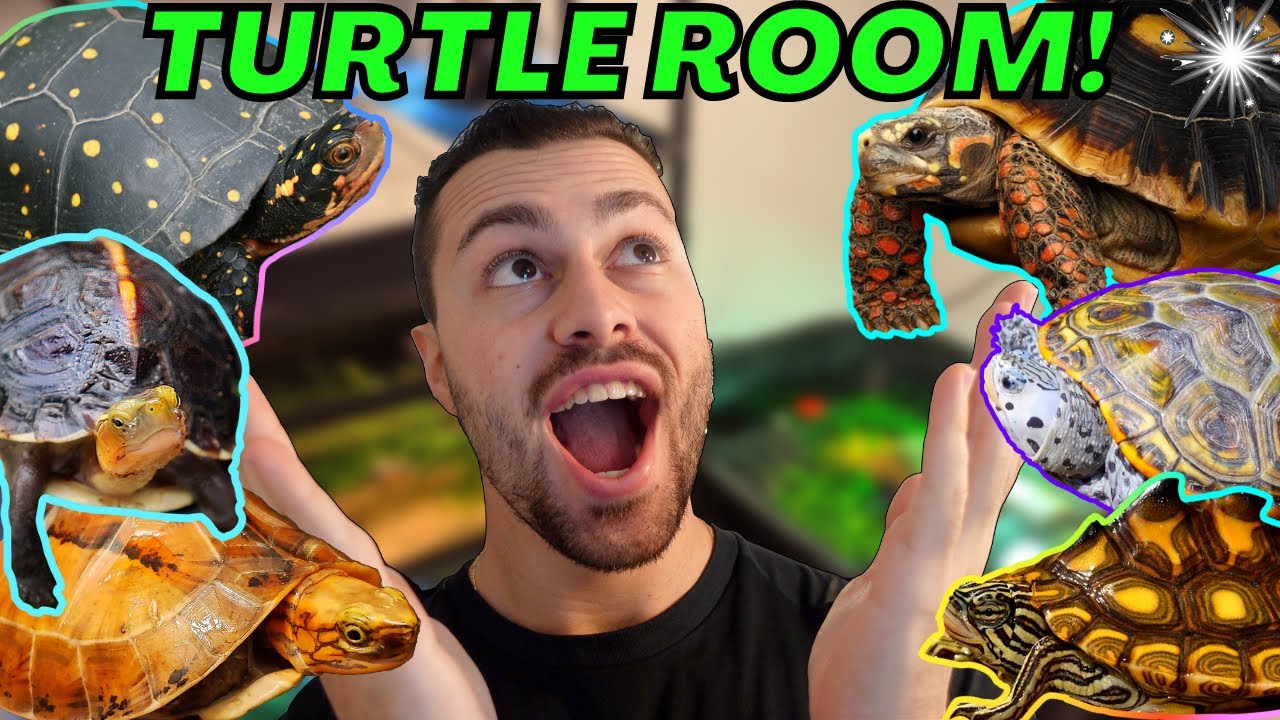 *ALL* Of My REPTILES!  (Room Tour)