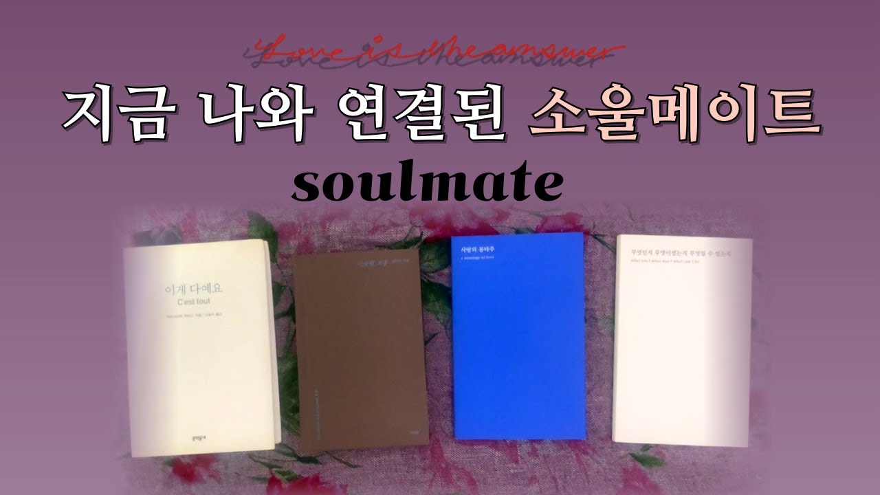 𝐓𝐀𝐑𝐎𝐓 ] 소울메이트를 만나는 자, 그 영혼의 무게를 견딜 것👑 소울메이트를 감당할 수 있는 분만 들어 주세요🙏🏻