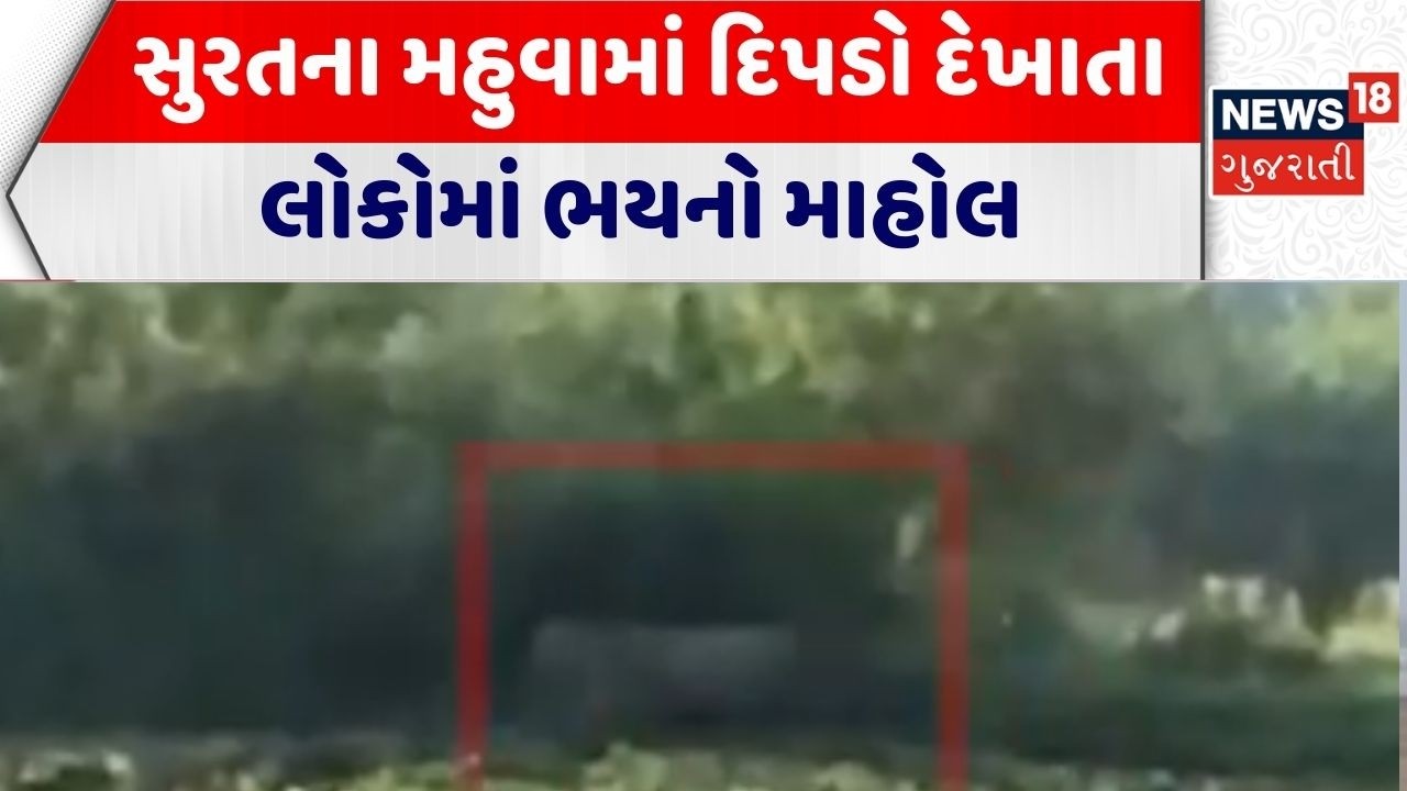 Surat Crime News | સુરતના મહુવામાં દિપડો દેખાતા લોકોમાં ભયનો માહોલ | Mahuva | Gujarati News