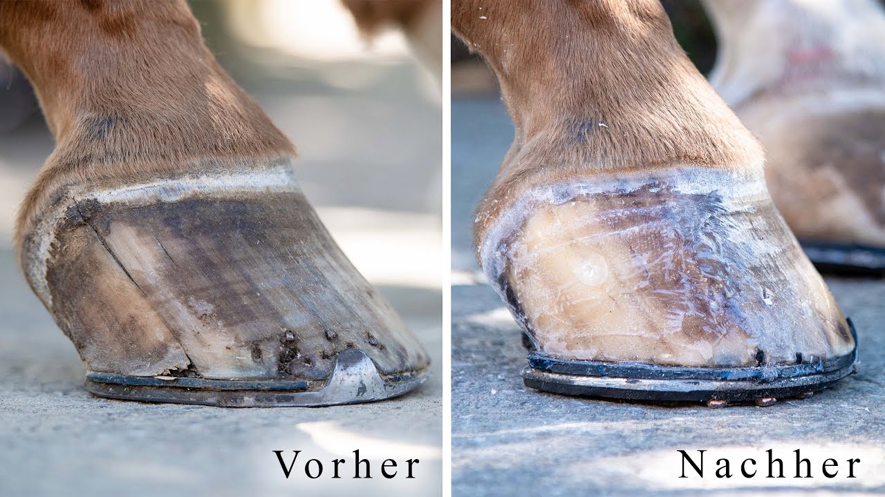 Hornspalt beim Pferd - Hornspaltreparatur mit Keralit - Teil 2 - Kleben am Horn für Profis
