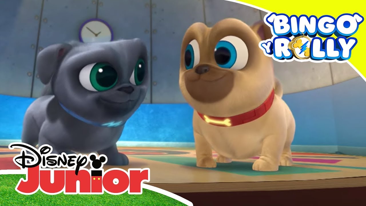 Bingo y Rolly: Canta con Bingo y Rolly | Disney Junior Oficial