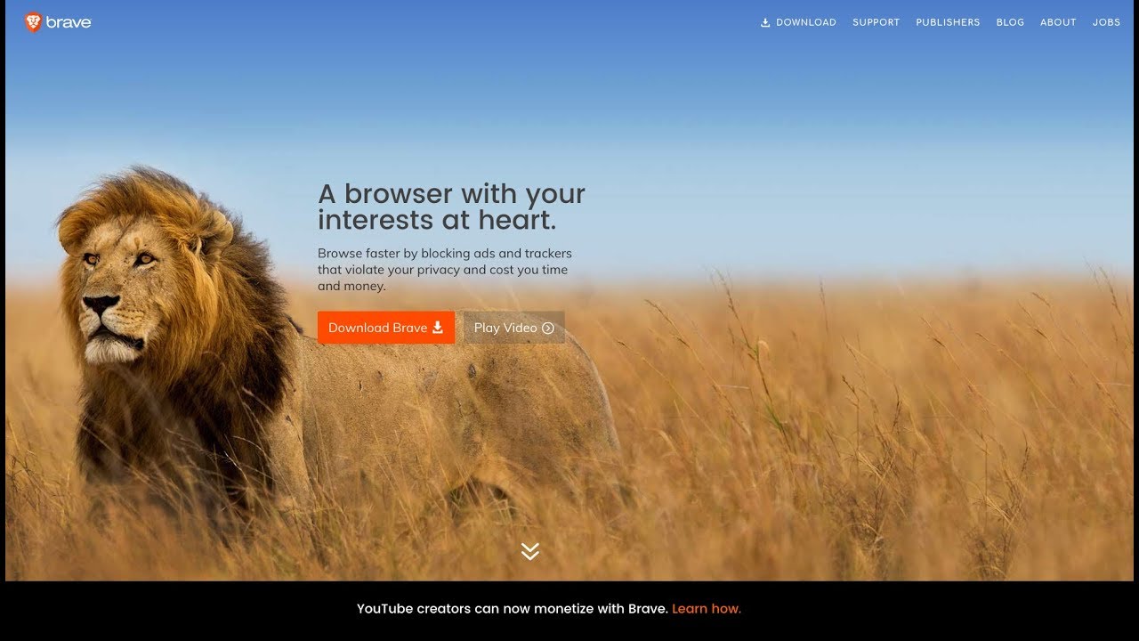 The Brave Web Browser & Basic Attention Token (BAT) Cryptocurrency: Best Web Browser Ever!