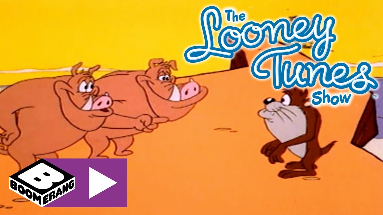 Taz-Mania | Taz Yardımı | Boomerang