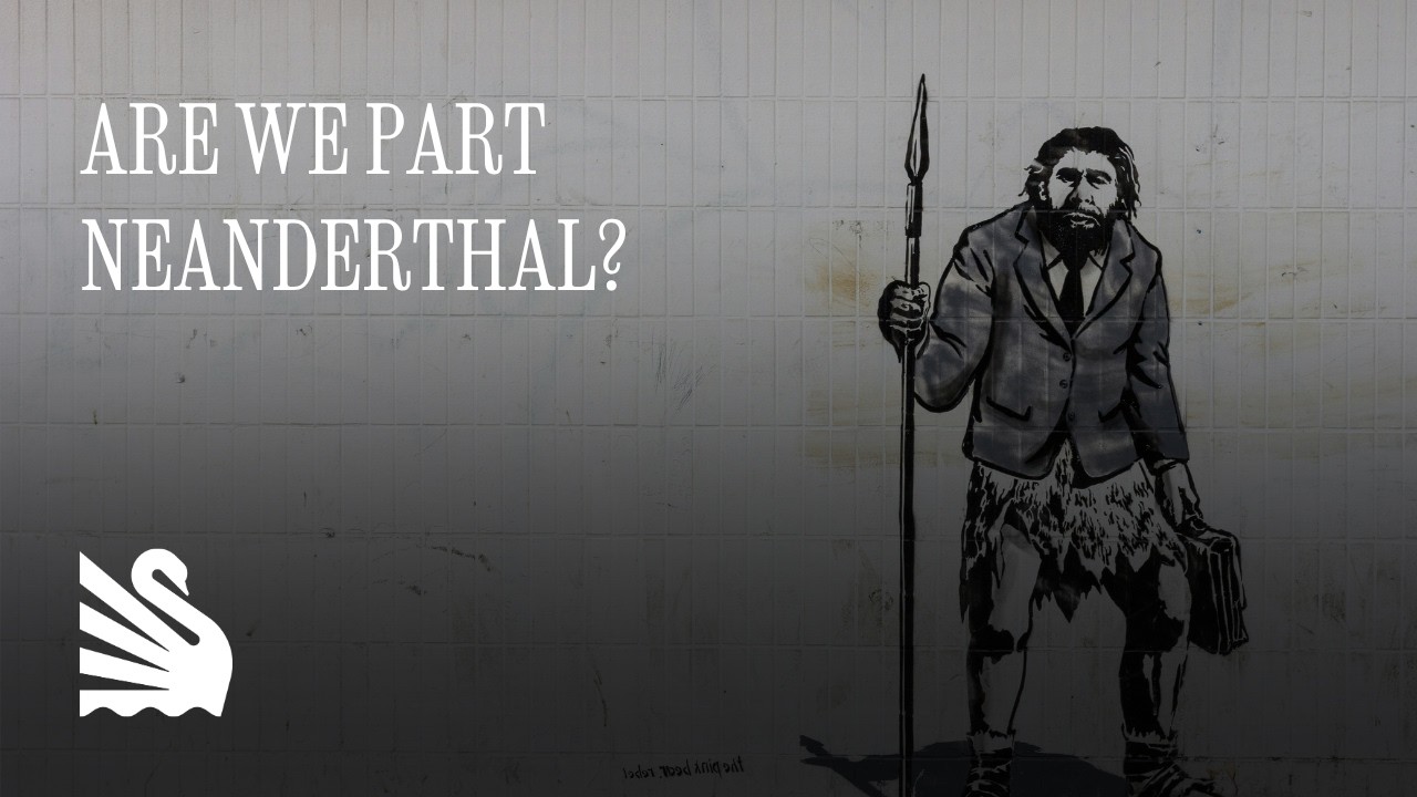 Neanderthal Genome Project: Insights into Human Evolution