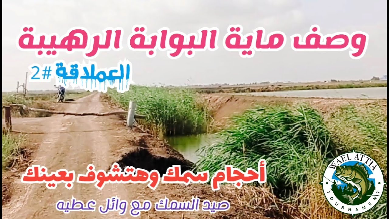 وصف ماية البوابة #العملاقة2# أحجام_سمك_رهيبة