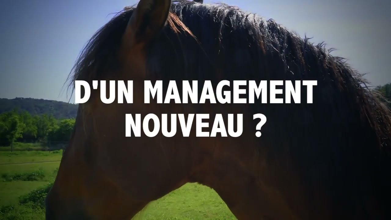 L'approche du Horse Coaching au Domaine de Gressac