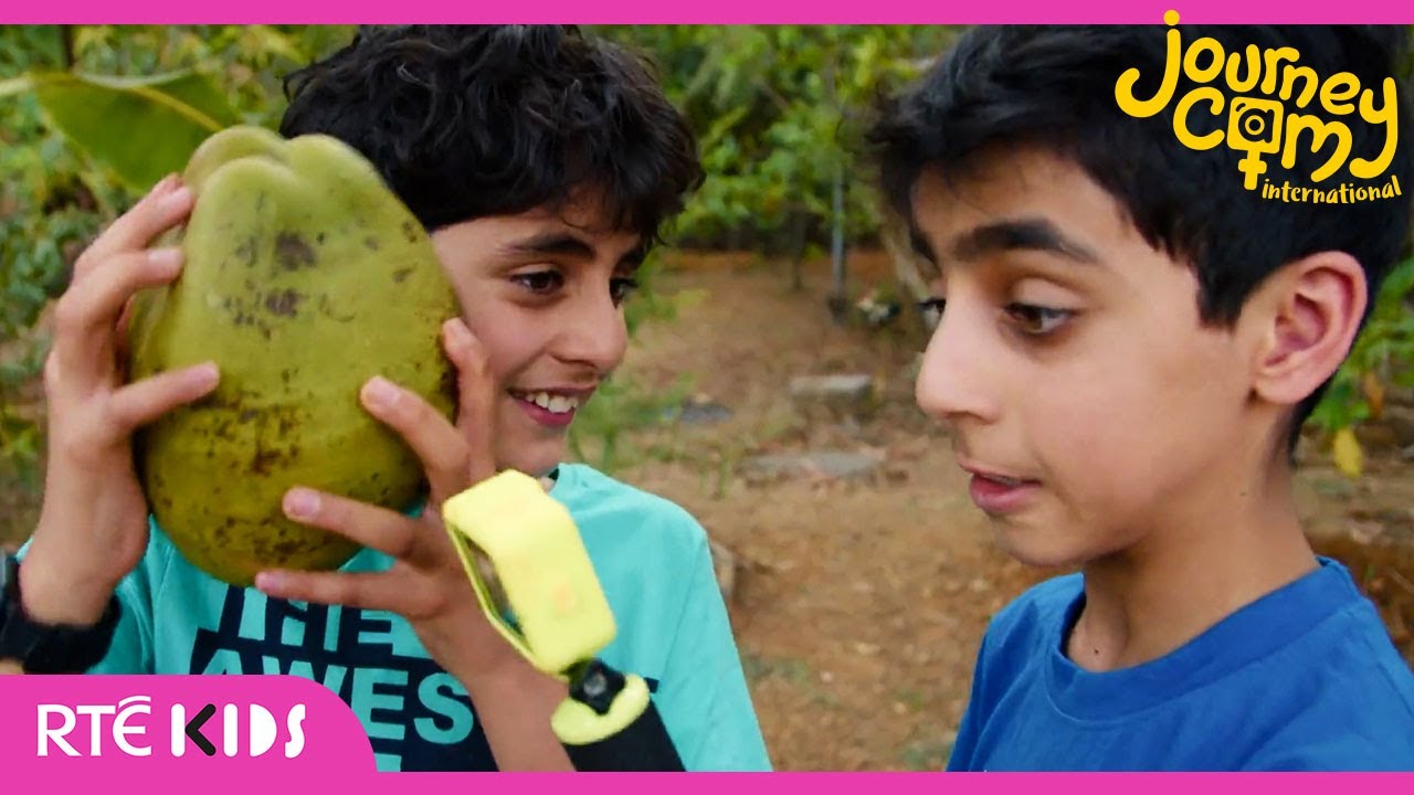 🥥 How to Pick & Break a Coconut! 🌴 | INDIA | Journey Cam 📸 | @RT&Eacute;KIDS