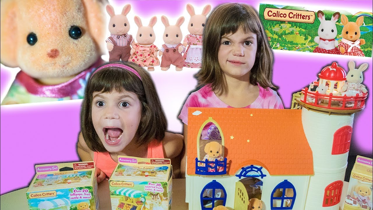Crazy Twins Unbox and Review NEW CALICO CRITTERS toy!