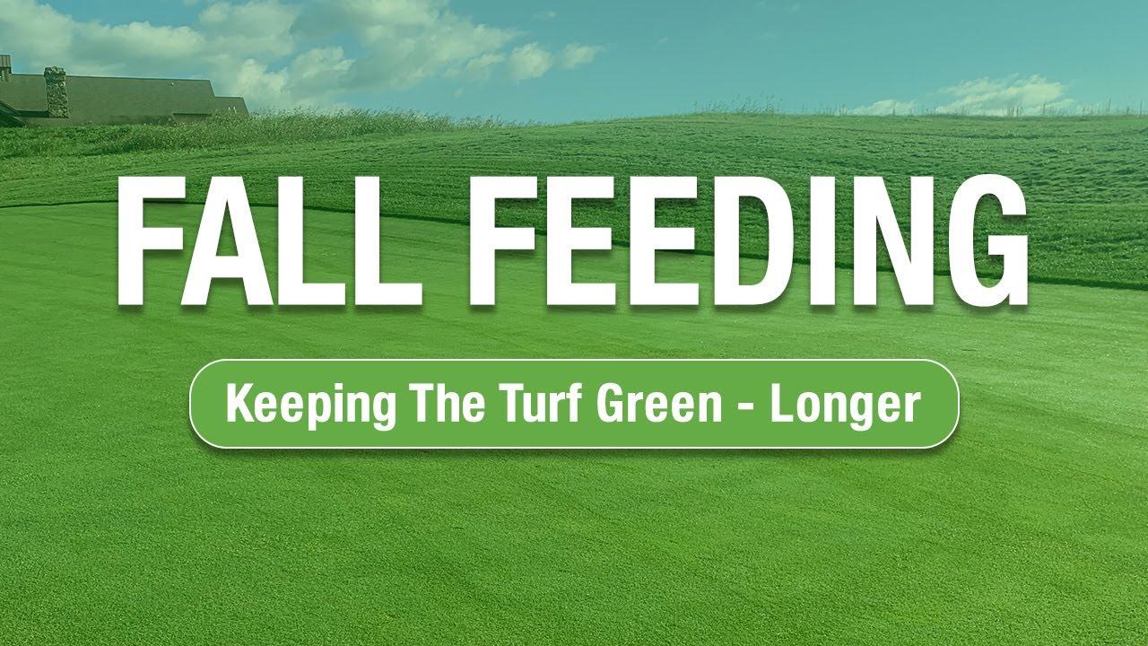 EW 2 Minute Turf Talk  - Fall Feeding - A Conversation with Steve Ball