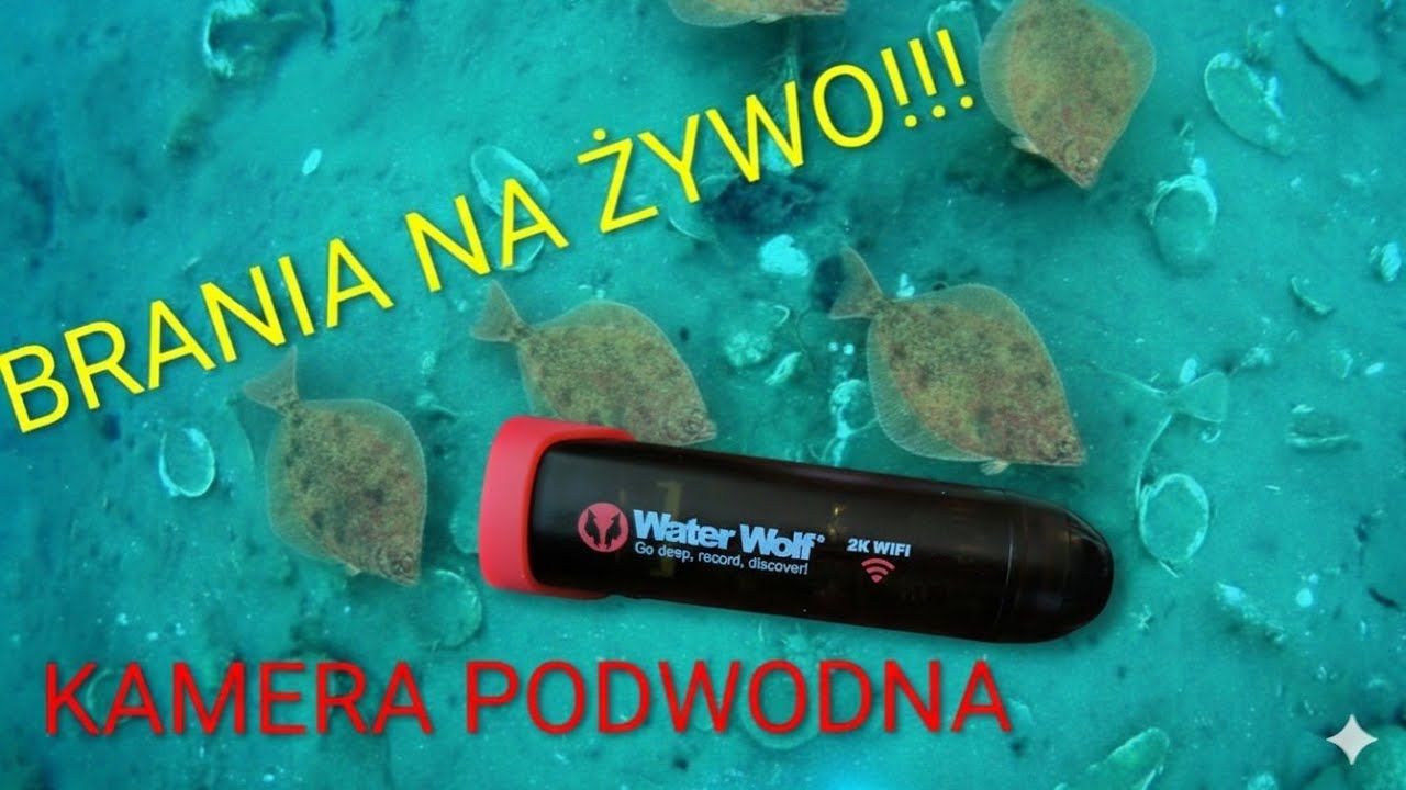 KAMERA POKAZAŁA BRANIA RYB NA ŻYWO!!! Water Wolf 2k Wi-Fi 