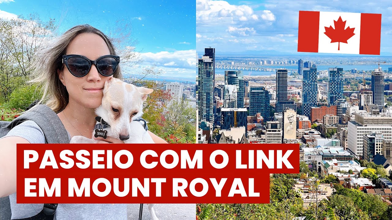 É VERÃO EM MONTREAL? Explorando a cidade, restaurantes + subindo Mount Royal com o Link ❤️🐶