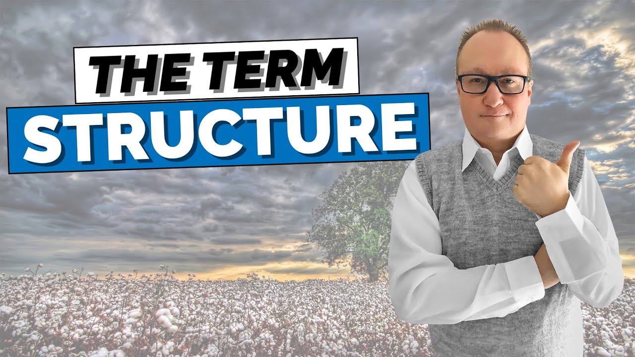 How to Easily Read and Understand the TERM STRUCTURE