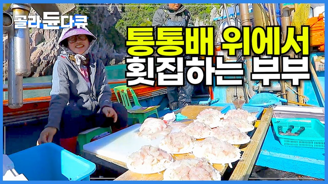 광어, 우럭, 노래미, 볼락 잡히는 대로 바로 썰어서 모둠회로 파는 선상 횟집│횟배 장사 25년 바다 위의 맛집│홍도 부부의 횟배│여행 가볼 만한 곳│한국기행│#골라듄다큐