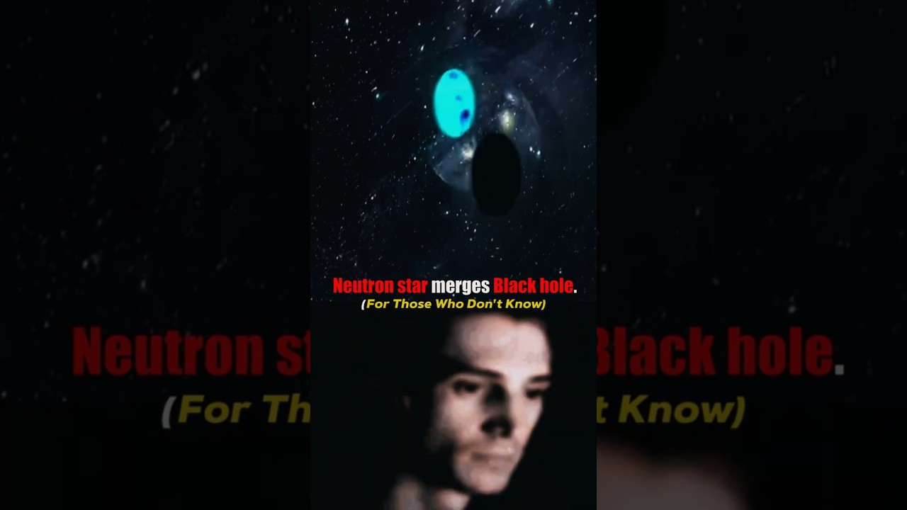 White Dwarf vs Pulsar vs Neutron Star vs Black Hole