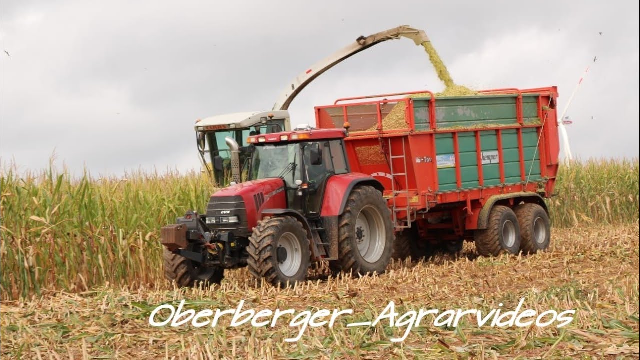Pur Sound CVX 1190 Sound // Mais  Abfahren 2019 bei Pfälzer Agrarvideos /Oberberger_Agrarvideos