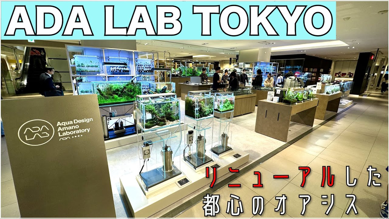 【都会のオアシス】ADA LAB TOKYOがリニューアルしてオープン！素晴らしい水槽の数々に感動しました。。。