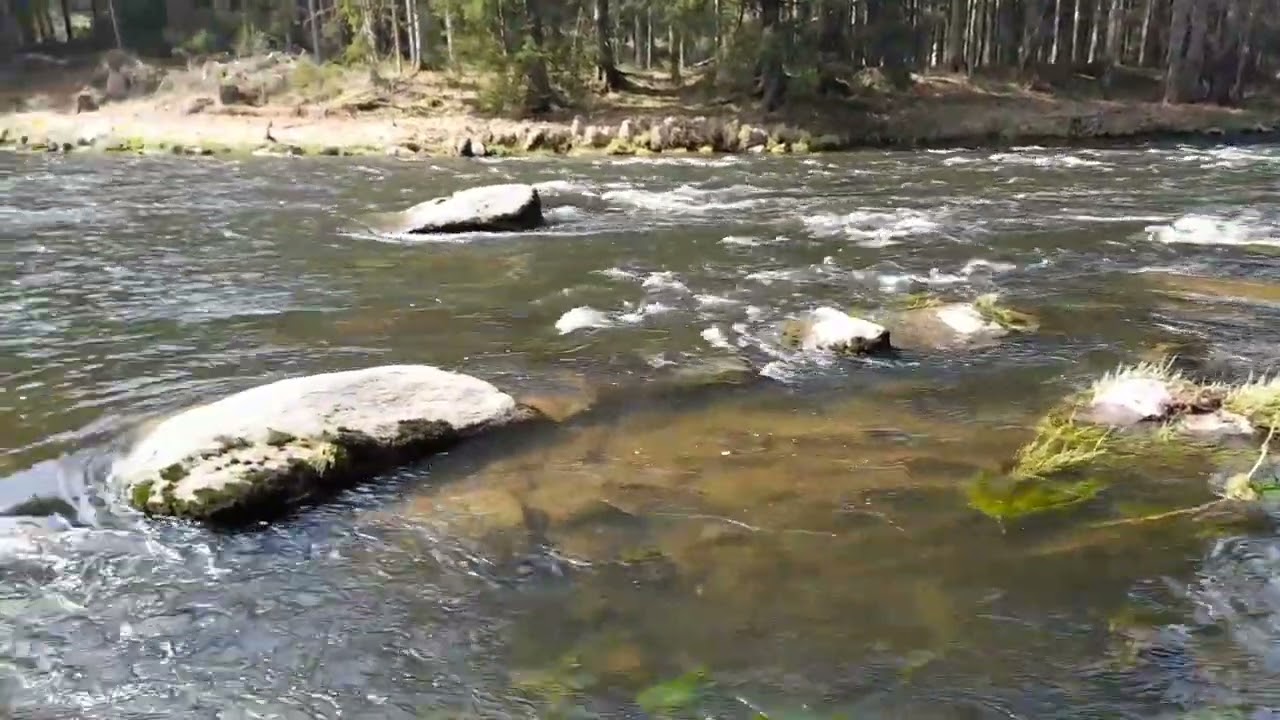 Bayrisch Kanada bei Geiersthal / Teisnach