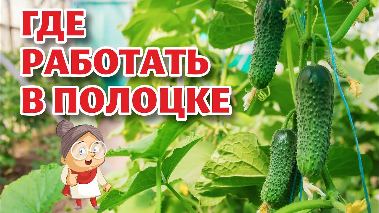 ВЕСНА-ЭНЕРГО приглашает на работу переселенцев из Латвии и других стран