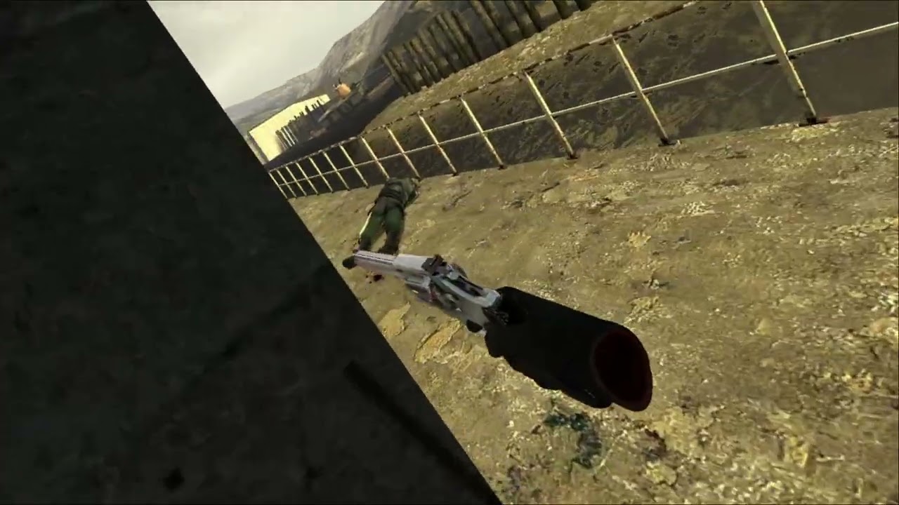 the BEST half life 2 gun