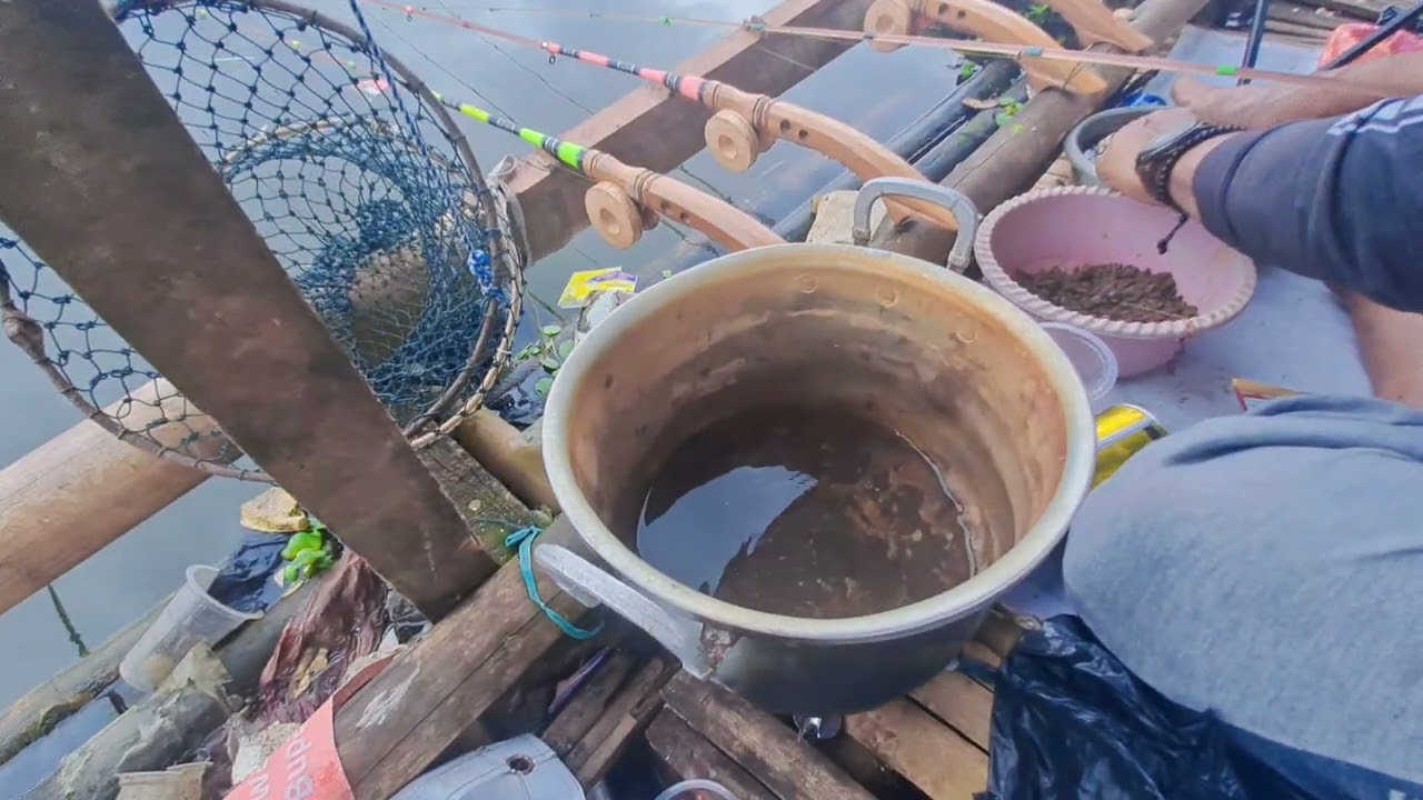 Gara-gara anak ini ikan jadi gak mau makan, LIHAT APA YANG DILAKUKAN !