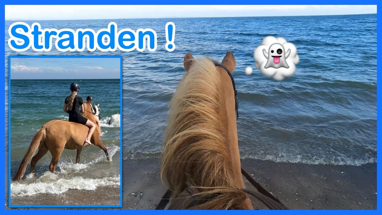 Vi Rider Til STRANDEN for Første Gang!