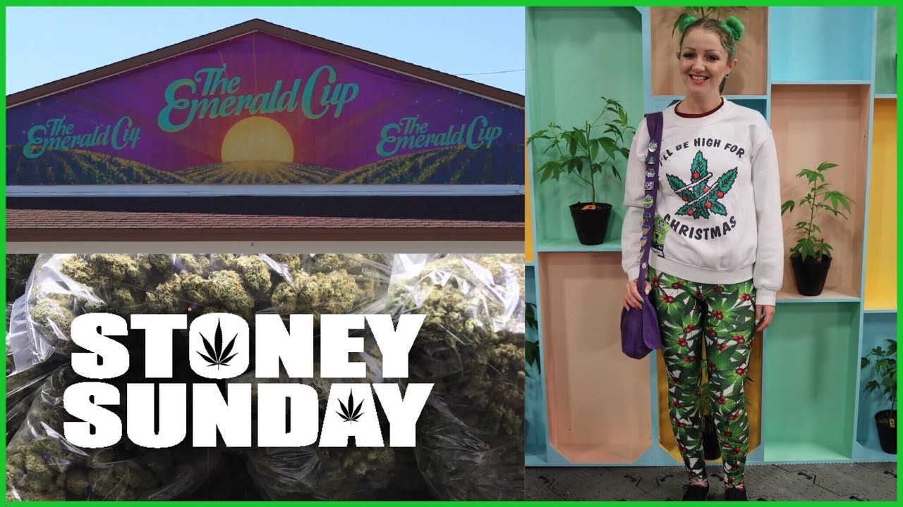 STONEY SUNDAY at the EMERALD CUP | CoralReefer
