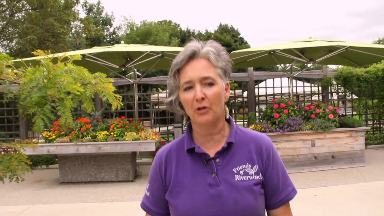 The Riverwood Conservancy Enabling Garden