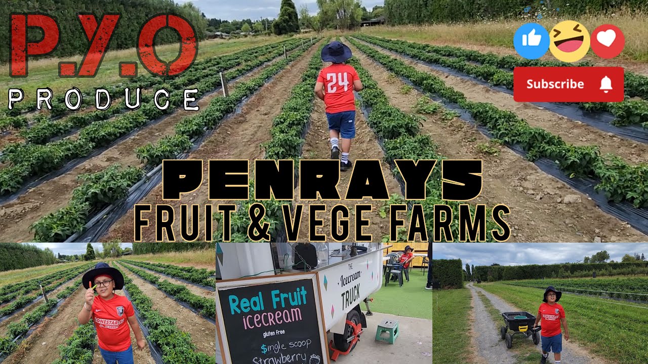 New Zealand Fruit and Vege Farm || Penray Garden || Otaki || Wellington