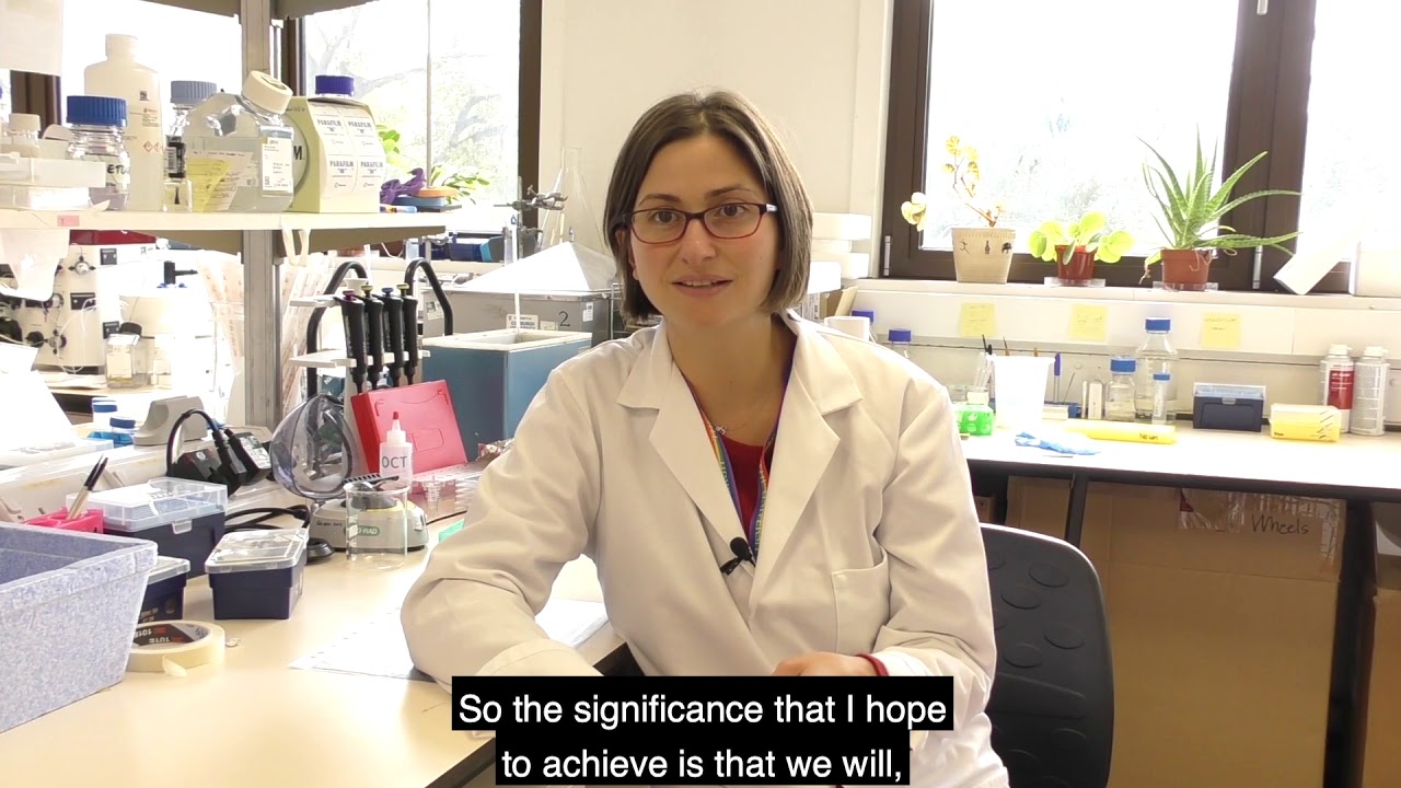 Gulsen Surmeli - Research into long-term memory