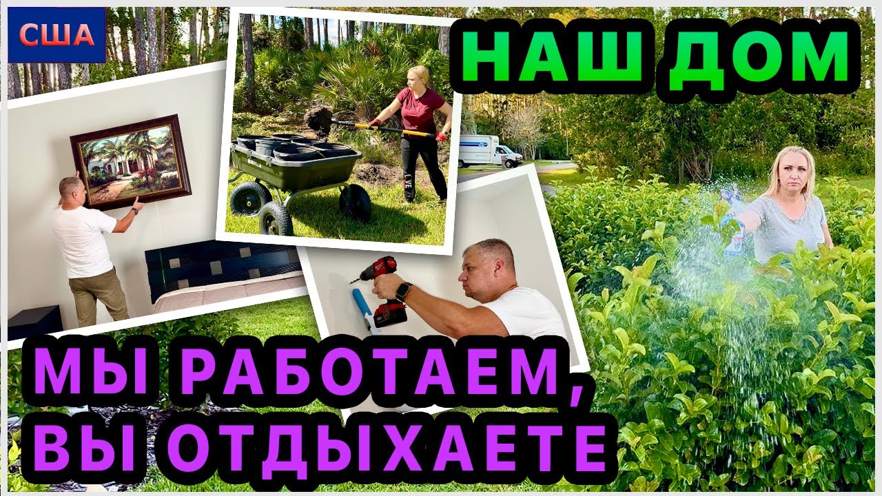 Что у нас на чердаке? Вешаем картину, сажаем пальмы, травим тлю. Занимаемся благоустройством дома