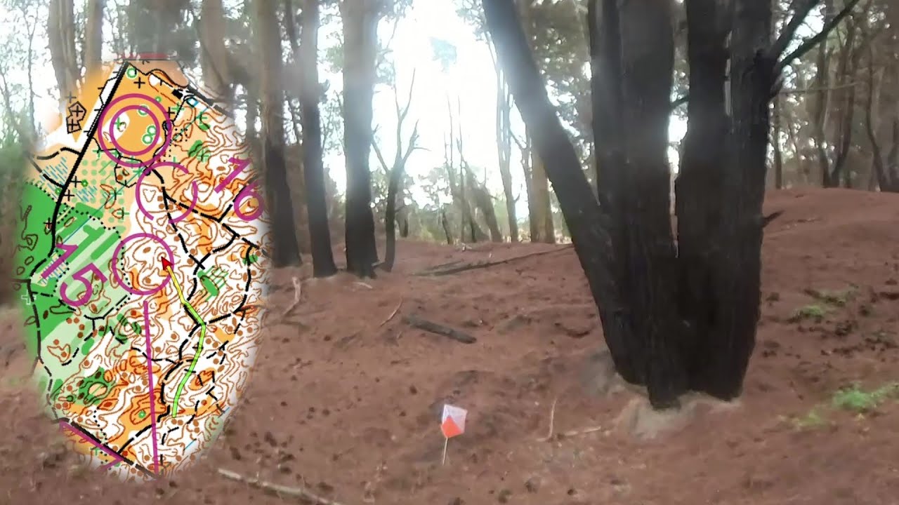 2023 WOW Middle/Prologue