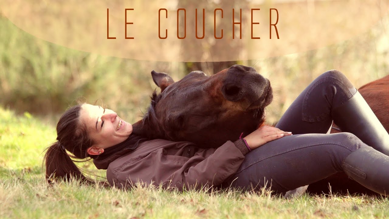 Apprendre le coucher à son cheval - Méthode très douce