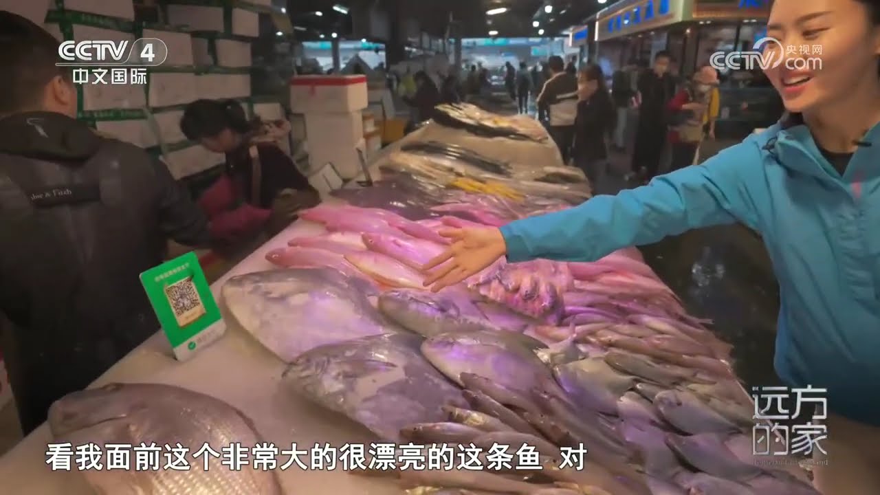 [远方的家]山河锦绣看中国——大陆南端 滨海港城 广东湛江：滨海风光 至鲜海味 | 中华地图