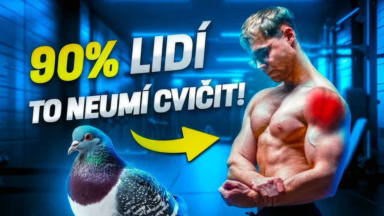 UMÍŠ CVIČIT RAMENA?!