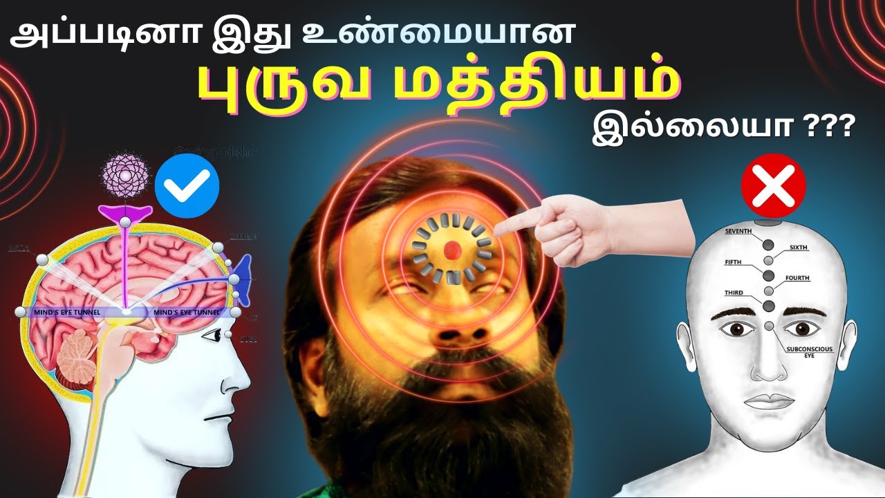 🧠“The Brain’s Secret Power Center – How to Activate Your Pineal Gland and Awaken Spiritual Energy!”💥